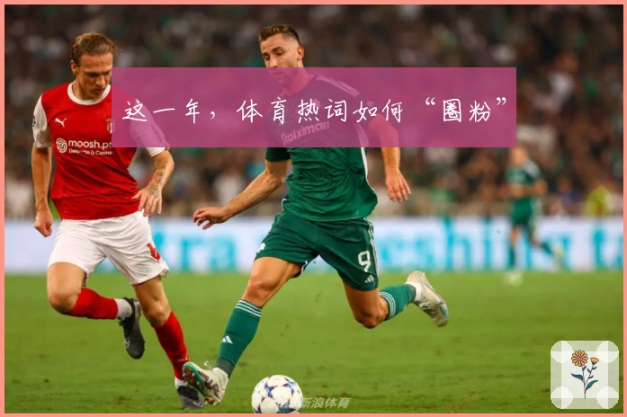 这一年，体育热词如何“圈粉”